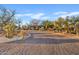 Home exterior, boasting mature trees, desert landscaping, and a horseshoe driveway at 10718 E Fenimore Rd, Mesa, AZ 85207