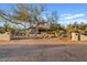 View of home from street, boasting mature desert landscaping, and a horseshoe driveway at 10718 E Fenimore Rd, Mesa, AZ 85207