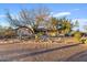 Charming ranch-style home with mature trees, desert landscaping, and a welcoming entrance at 10718 E Fenimore Rd, Mesa, AZ 85207