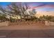 The front yard features native desert landscaping, mature trees, and an inviting entrance, creating curb appeal at 10718 E Fenimore Rd, Mesa, AZ 85207