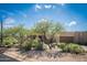 Desert home with mature trees in a low water xeriscape yard at 11199 E Prospect Point Dr, Scottsdale, AZ 85262