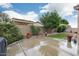 A tranquil backyard featuring a patio area, a grass lawn, mature landscaping, and privacy walls at 20529 N 94Th Ln, Peoria, AZ 85382