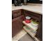 Kitchen cabinets featuring pull-out drawers and organizers for storing cookware, plates and more at 20529 N 94Th Ln, Peoria, AZ 85382