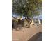 Charming single-story home featuring desert landscaping and a mature shade tree in the front yard at 2212 W Alicia Dr, Phoenix, AZ 85041