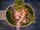 Aerial view of meticulously landscaped roundabout featuring lush greenery, decorative lighting, and stone pathways at 2656 E Oriole Dr, Gilbert, AZ 85297