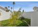 Landscaped backyard featuring green grass, garden area, cacti, palm trees, and block fence at 320 S 70Th St # 54, Mesa, AZ 85208