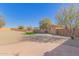 Large backyard featuring rock landscaping, mature trees, and a block wall at 35344 N Karan Swiss Cir, San Tan Valley, AZ 85143
