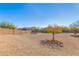 Expansive backyard with rock landscaping, mature trees, and a block wall at 35344 N Karan Swiss Cir, San Tan Valley, AZ 85143