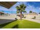 Backyard featuring a mature palm tree, synthetic lawn, and block wall at 3716 W Griswold Rd, Phoenix, AZ 85051