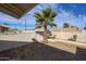 Backyard featuring a mature palm tree and block wall at 3716 W Griswold Rd, Phoenix, AZ 85051