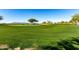 Expansive golf course with a manicured green, mature trees, and mountain views against a clear blue sky at 42735 W Bravo Dr, Maricopa, AZ 85138