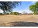Expansive open space with mature trees and a clear blue sky, perfect for outdoor enjoyment at 5422 W Bryce Ln, Glendale, AZ 85301