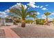 Spacious backyard featuring desert landscaping, a charming patio, and mature palm trees under a bright blue sky at 10414 W Ponderosa Cir, Sun City, AZ 85373