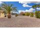 Desert landscaped backyard with mature palm trees and a charming patio area at 10414 W Ponderosa Cir, Sun City, AZ 85373