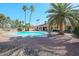 Expansive backyard featuring a sparkling pool, mature palm trees, and plenty of space for outdoor activities at 13232 W Ballad Dr, Sun City West, AZ 85375