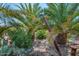 Scenic backyard with lush greenery, a palm tree and a rustic wooden accent and a brick walkway at 14264 S Baniff Ln, Arizona City, AZ 85123