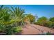 Backyard landscaping featuring a gravel pathway, palm trees, and lush green foliage for relaxed outdoor living at 14264 S Baniff Ln, Arizona City, AZ 85123