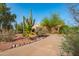 Charming desert home with mature landscaping and a unique stone-lined driveway, complete with saguaro cacti at 14264 S Baniff Ln, Arizona City, AZ 85123