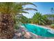 Backyard oasis with a refreshing pool, palm trees, and manicured desert landscaping for serene relaxation at 14264 S Baniff Ln, Arizona City, AZ 85123