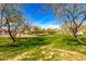 Picturesque community park showcasing green grass, mature trees, walking paths, and open blue skies at 16150 W Hope Dr, Surprise, AZ 85379