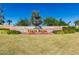 Water feature surrounded by manicured lawn and beautiful landscaping at 23116 N Padaro Ct, Sun City West, AZ 85375