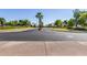 Street view lined with palm trees and landscaping showing a well maintained community at 23116 N Padaro Ct, Sun City West, AZ 85375