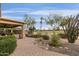 Serene backyard with desert landscaping, a covered patio, and golf course views at 23731 S Angora Dr, Sun Lakes, AZ 85248