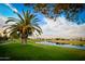 Picturesque golf course view featuring lush green grass, a tranquil pond, and mature palm trees at 23731 S Angora Dr, Sun Lakes, AZ 85248