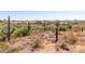 Desert landscape featuring mature cacti and panoramic mountain views at 2645 W Florentine Rd, Phoenix, AZ 85086