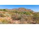 Expansive desert landscape with mature cacti and beautiful mountain views at 2645 W Florentine Rd, Phoenix, AZ 85086