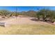 Community sand volleyball court with mountain views and lush landscaping at 2645 W Florentine Rd, Phoenix, AZ 85086