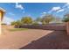 Expansive backyard with a simple lawn area, gravel, and tree-lined brick fence at 4033 S Harlan --, Mesa, AZ 85212