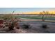 Picturesque golf course landscape featuring lush green grass, desert foliage, and a serene sunrise backdrop at 5742 S Creosote Dr, Gold Canyon, AZ 85118