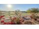 Beautiful golf course view featuring red desert flowers in the foreground under the Arizona sun at 5742 S Creosote Dr, Gold Canyon, AZ 85118