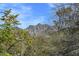 Scenic view of the mountains framed by lush trees, showcasing a tranquil and natural setting at 8 Biltmore Est # 212, Phoenix, AZ 85016