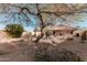 Lush backyard with mature trees providing shade, a patio, and barbecue area for outdoor enjoyment at 80 S Maple Ct, Chandler, AZ 85226