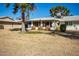 Backyard view features a covered patio and lush trees at 10105 W Bolivar Dr, Sun City, AZ 85351
