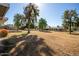 Spacious backyard with mature trees and lush grass, ideal for outdoor activities and relaxation at 10105 W Bolivar Dr, Sun City, AZ 85351