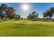 Expansive golf course view with rolling green hills, mature trees, and clear blue skies at 10808 W Kelso Dr, Sun City, AZ 85351
