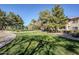 Lush green community space with well-manicured lawns, walking paths, and shade trees at 1351 N Pleasant Dr # 1031, Chandler, AZ 85225