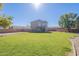 Large backyard with a well maintained lawn, mature trees, and block wall fencing at 30263 N Bobcat Way, San Tan Valley, AZ 85143