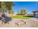 Expansive backyard with lush lawn, mature trees, and a cozy fire pit area at 30263 N Bobcat Way, San Tan Valley, AZ 85143
