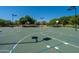 Community basketball court with multiple hoops and well-maintained green surface for recreational use at 30263 N Bobcat Way, San Tan Valley, AZ 85143
