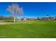 A picturesque community park with open green spaces, playground equipment, and picnic areas at 30263 N Bobcat Way, San Tan Valley, AZ 85143