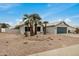 Single-story home featuring desert landscaping with palm trees and an attached garage at 6303 E Preston St, Mesa, AZ 85215