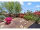 Lush backyard with stone pavers and colorful bougainvillea at 7526 E Edgemont Ave, Scottsdale, AZ 85257
