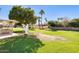 Expansive backyard with mature trees and lush landscaping at 10891 W Clair Dr, Sun City, AZ 85351