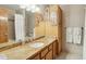 Bathroom vanity featuring custom wood cabinets, granite countertop, and decorative palm tree artwork at 1201 W Dahlia Dr, Phoenix, AZ 85029