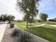 Well-kept green space with walking path, trees, and lush landscaping in community at 13594 W Port Royale Ln, Surprise, AZ 85379