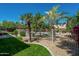 Landscaped backyard featuring a refreshing pool, mature palms, and a secure fence for added privacy and safety at 14674 W Windsor Ave, Goodyear, AZ 85395